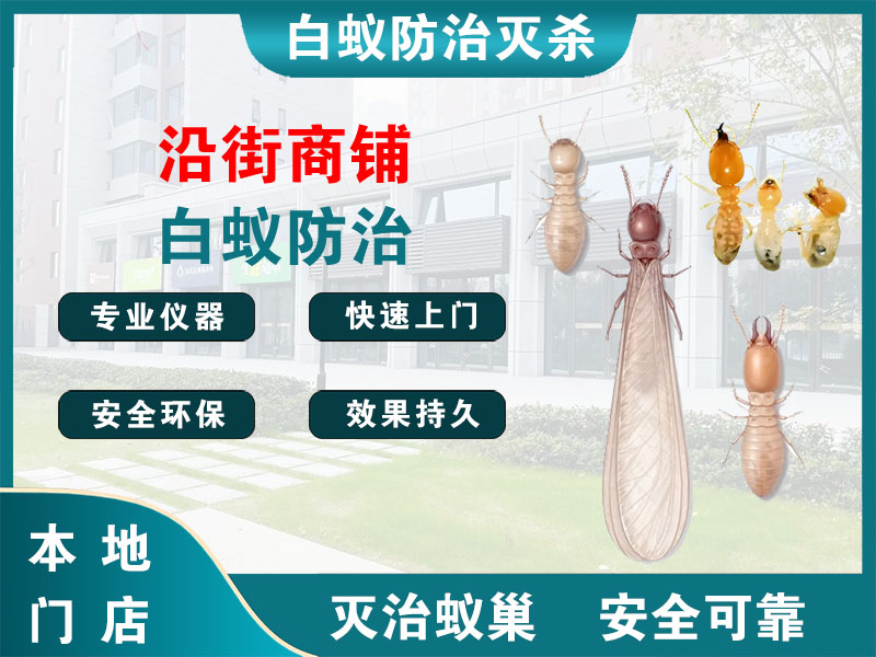开化沿街商铺白蚁防治