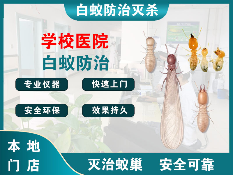 开化学校医院白蚁防治