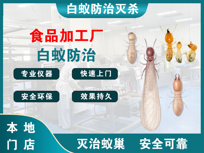 开化食品加工厂白蚁防治