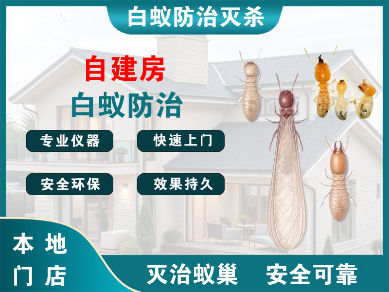 开化自建房白蚁防治