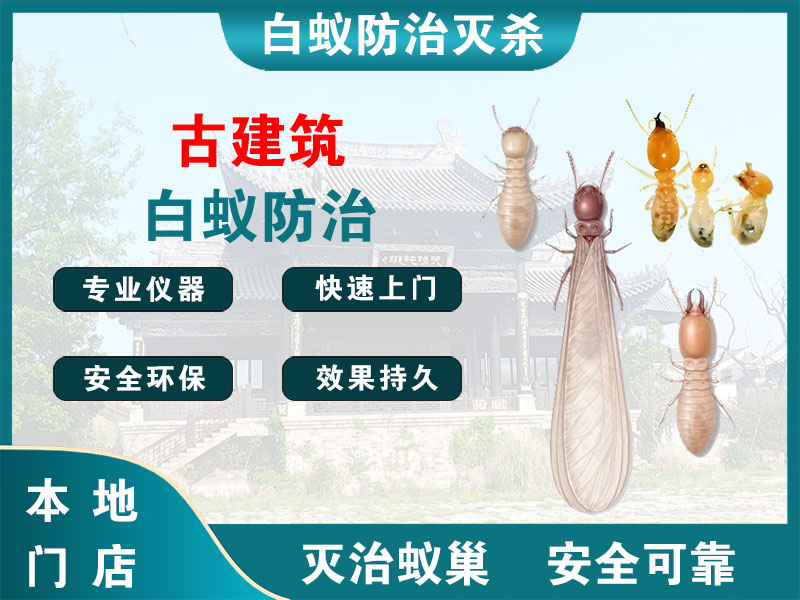 开化古建筑白蚁防治
