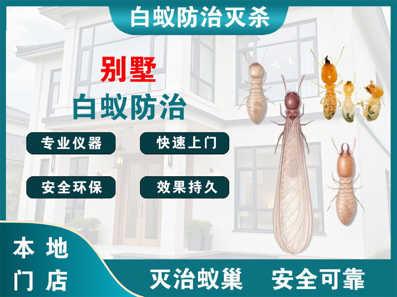 开化别墅白蚁防治