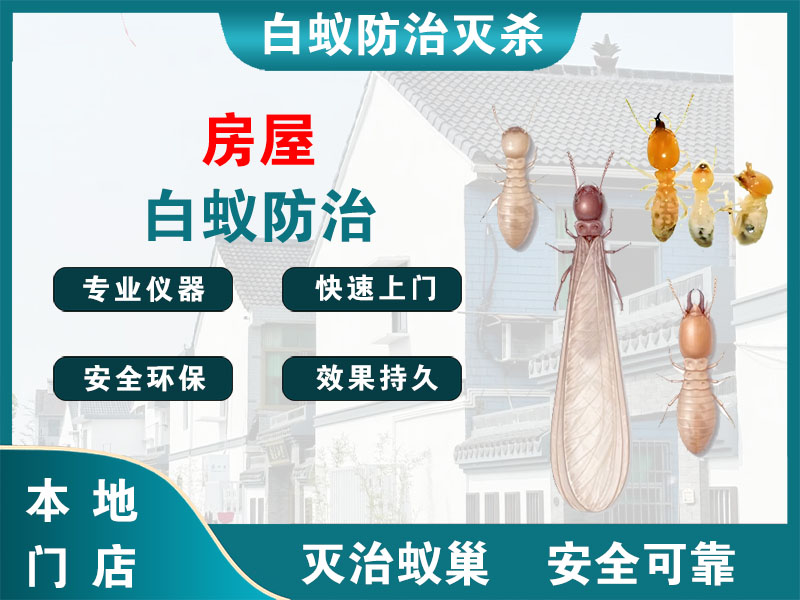 开化房屋白蚁防治